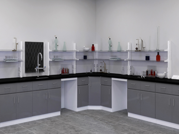 實驗室家具,實驗室家具廠家,實驗臺通風(fēng)柜