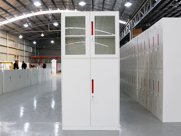 試劑柜,樣品柜,文件柜