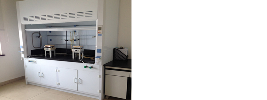 PP通風(fēng)柜PP通風(fēng)柜,實(shí)驗(yàn)室PP通風(fēng)柜,廣州PP通風(fēng)柜