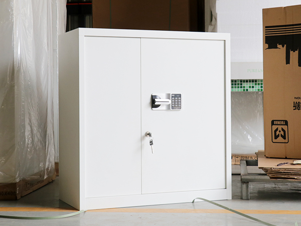 文件柜定制,保密文件柜,文件柜生產廠家