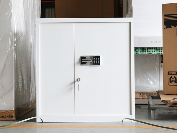 文件柜定制,保密文件柜,文件柜生產廠家